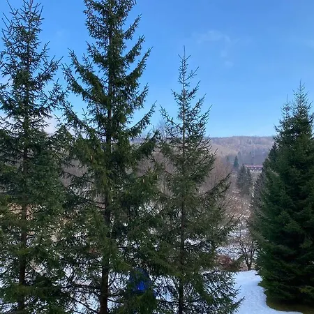아파트 App. Tremol 50 Mt Da Piste Sci *